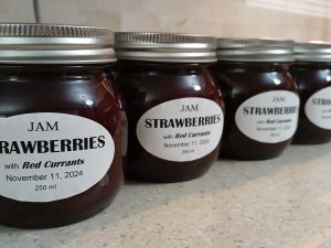 Jan's Jams